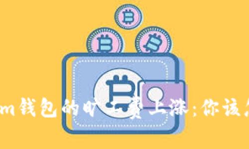 Tokenim钱包的旷工费上涨：你该怎么办？