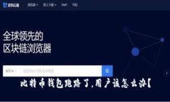 比特币钱包跑路了，用户