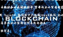 关于tokenim地址的大小写，