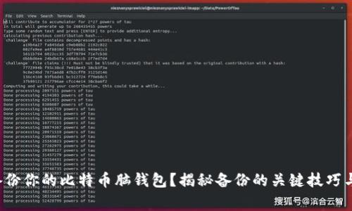 如何安全备份你的比特币脑钱包？揭秘备份的关键技巧与注意事项！