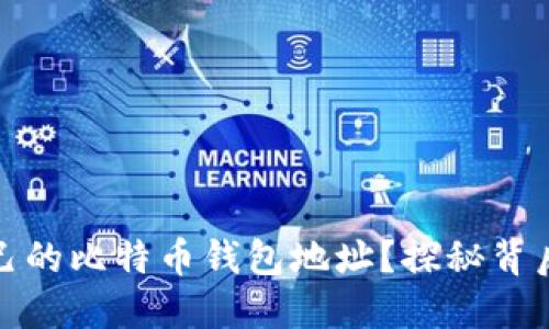 如何轻松生成自己的比特币钱包地址？探秘背后的技术与安全性