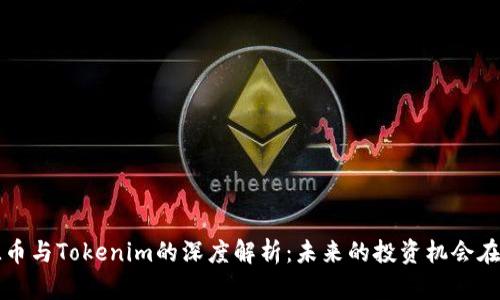FIL币与Tokenim的深度解析：未来的投资机会在哪？