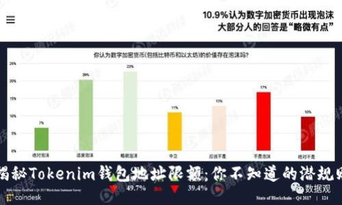 揭秘Tokenim钱包地址限额：你不知道的潜规则