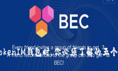 在使用TokenTokenIM钱包时，你必须了解的五个关键注意事项！