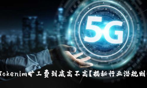 Tokenim旷工费到底高不高？揭秘行业潜规则！