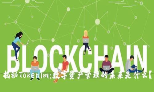 揭秘Tokenim：数字资产管理的未来是什么？