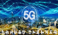 揭开Sol钱包的神秘面纱：