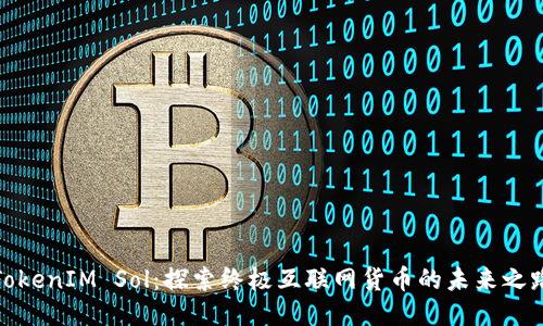 TokenIM Sol：探索终极互联网货币的未来之路