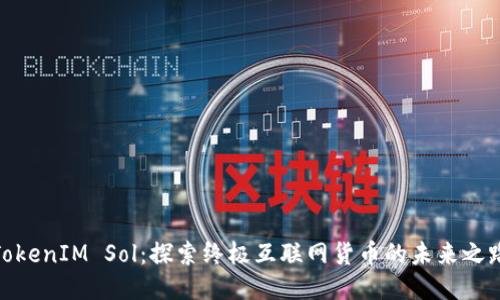 TokenIM Sol：探索终极互联网货币的未来之路