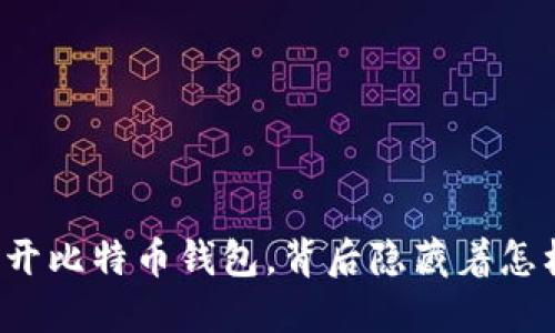 无密码打开比特币钱包，背后隐藏着怎样的秘密？