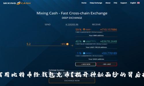 如何用比特币给钱包充币？揭开神秘面纱的背后技巧