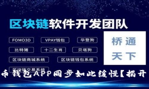 为什么狗狗币钱包APP同步如此缓慢？揭开背后的秘密！