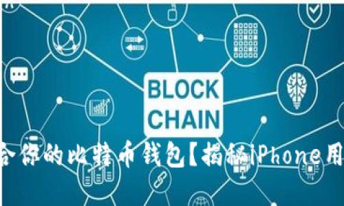 “如何选择最适合你的比特币钱包？揭秘iPhone用户的最佳选择！”