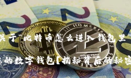 当然可以！下面是一个关于“比特币怎么进入钱包里”的、关键词和内容大纲。

比特币如何安全存入您的数字钱包？揭秘背后的秘密