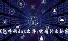 比特币钱包中的dat文件：