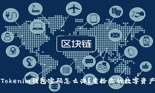 忘记Tokenim钱包密码怎么办？重拾你的数字资产之路