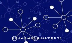 为什么以太坊钱包在iOS上