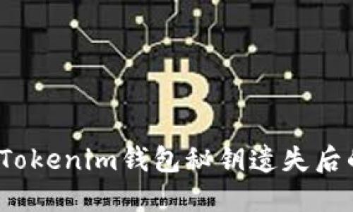 万一境遇：Tokenim钱包秘钥遗失后的应对之策