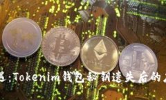 万一境遇：Tokenim钱包秘钥