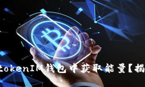 如何在TokentokenIM钱包中获取能量？揭秘背后的秘密
