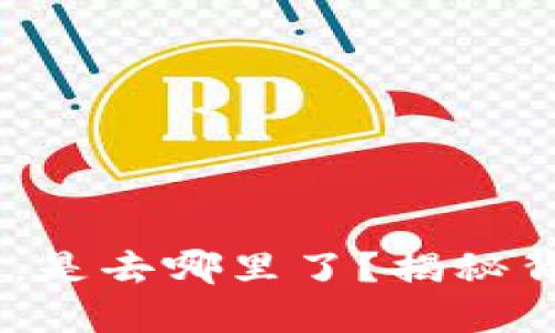 Tokenim质押后，是去哪里了？揭秘背后的运作机制！