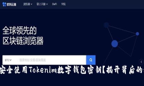 如何安全使用Tokenim数字钱包密钥？揭开背后的秘密！