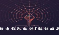 如何打开比特币钱包文件