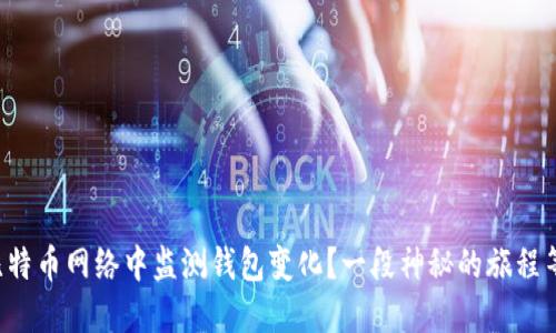 如何在比特币网络中监测钱包变化？一段神秘的旅程等待揭晓！