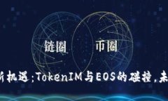 数字货币新机遇：TokenIM与EOS的碰撞，未来会如何