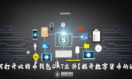 如何打开比特币钱包DAT文件？揭开数字货币的迷雾