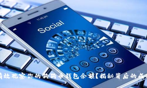 如何有效观察你的狗狗币钱包余额？揭秘背后的成功秘诀