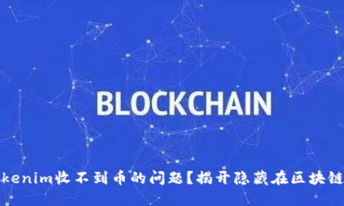 如何解决Tokenim收不到币的问题？揭开隐藏在区块链背后的秘密