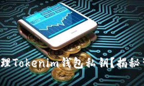 如何安全收集和管理Tokenim钱包私钥？揭秘背后的风险与对策！