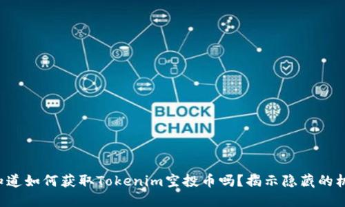 你知道如何获取Tokenim空投币吗？揭示隐藏的机会！