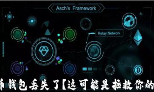 
你的比特币钱包丢失了？这可能是拯救你的关键时刻！