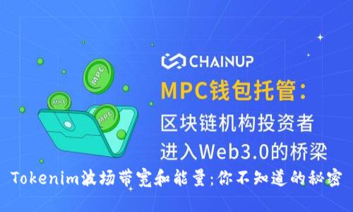 Tokenim波场带宽和能量：你不知道的秘密
