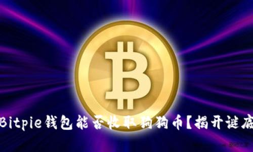 Bitpie钱包能否收取狗狗币？揭开谜底