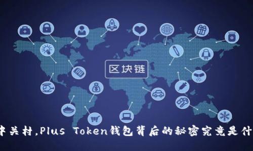 在中关村，Plus Token钱包背后的秘密究竟是什么？