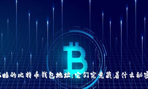 沉睡的比特币钱包地址：它们究竟藏着什么秘密？