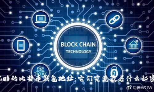 沉睡的比特币钱包地址：它们究竟藏着什么秘密？