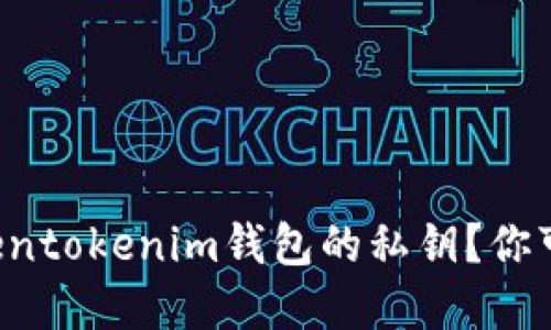 如何安全导出Tokentokenim钱包的私钥？你可能不知道的细节！