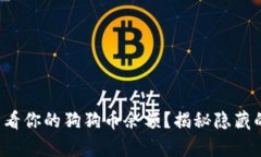 如何轻松查看你的狗狗币