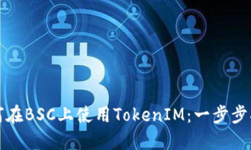 如何在BSC上使用TokenIM：一步步指南