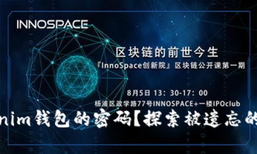 如何找回Tokenim钱包的密码？探索被遗忘的数字财富之路