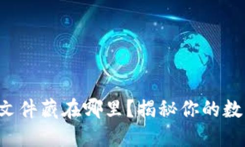 狗狗币钱包密钥文件藏在哪里？揭秘你的数字资产安全密码！