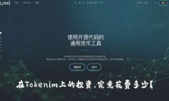 在Tokenim上的投资，究竟花
