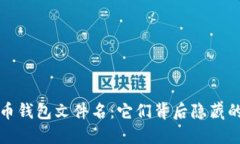 比特币钱包文件名：它们