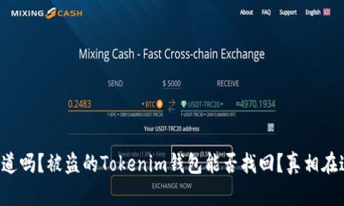 你知道吗？被盗的Tokenim钱包能否找回？真相在这里！