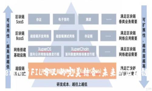 揭秘Tokenim与FIL分叉的完美结合：未来的区块链新生态?
