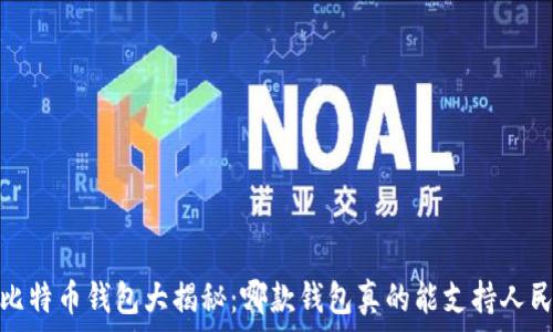   
2023年比特币钱包大揭秘：哪款钱包真的能支持人民币支付？